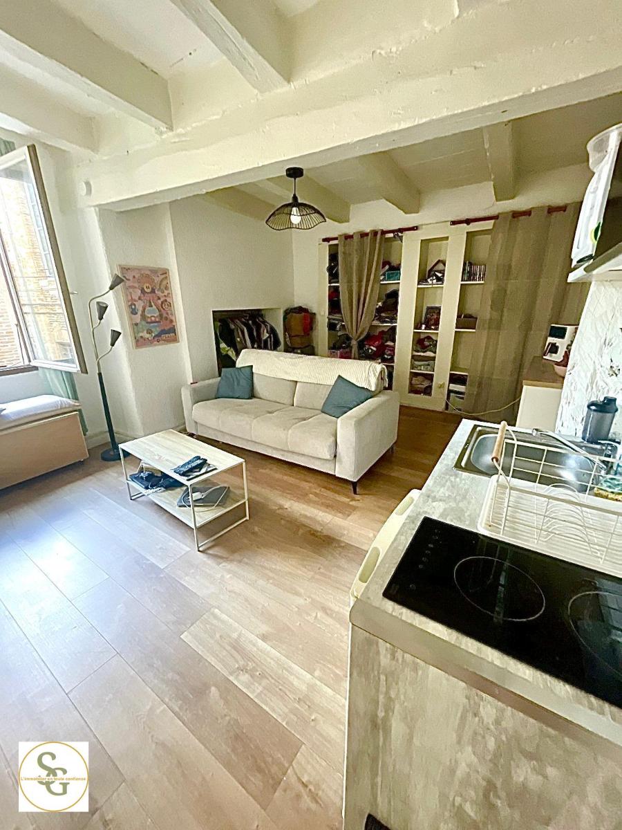 appartement 1 pièces - GAILLAC